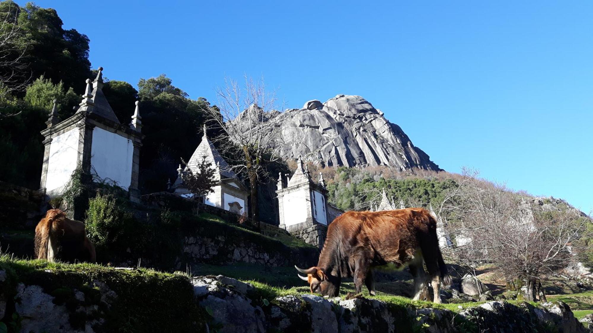 Penedino Mountain Cottage アルコス・デ・ヴァルデヴェス エクステリア 写真